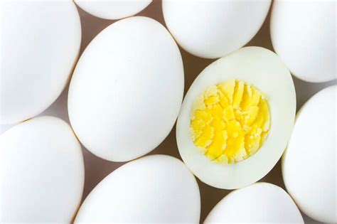חלבון ביצה ערך תזונתי